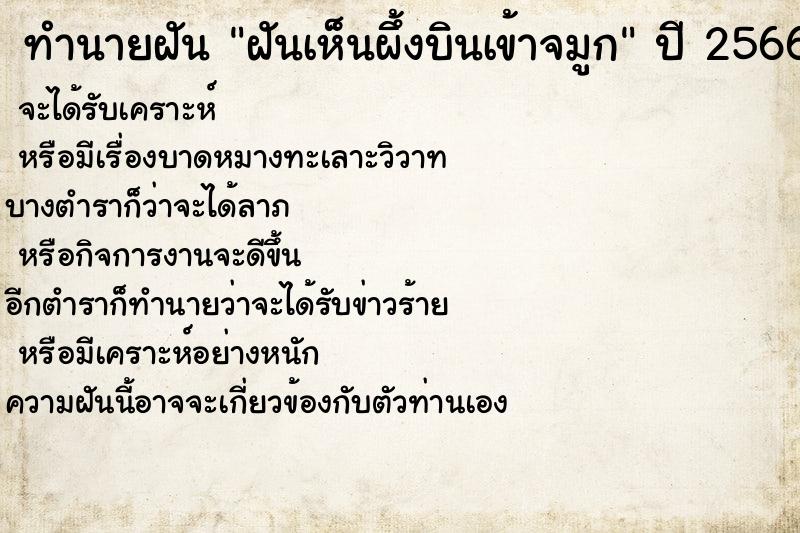 ทำนายฝันทำนายฝันฝันเห็นผึ้งบินเข้าจมูก