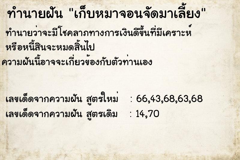 ทำนายฝัน เก็บหมาจอนจัดมาเลี้ยง ทำนายฝัน เก็บหมาจอนจัดมาเลี้ยง