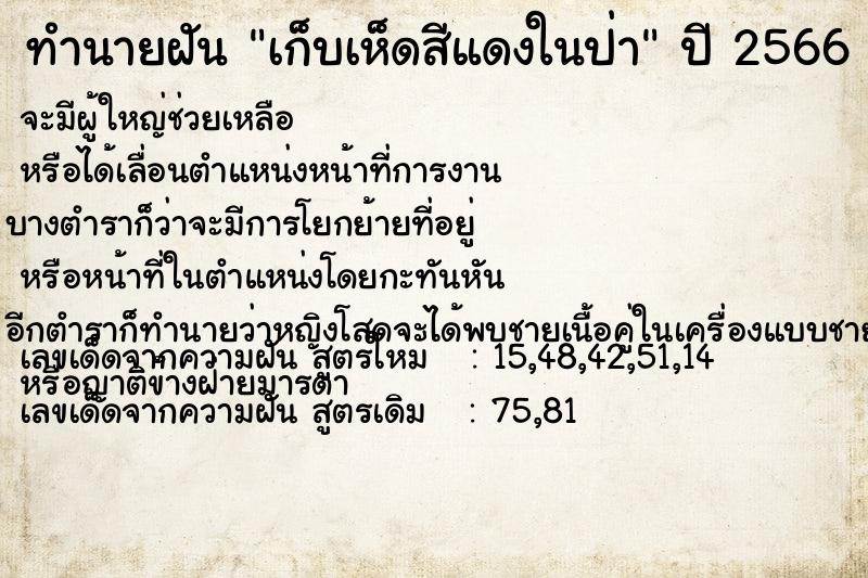 ทำนายฝัน เก็บเห็ดสีแดงในป่า