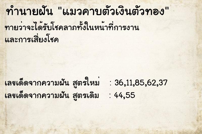 ทำนายฝันทำนายฝันแมวคาบตัวเงินตัวทอง