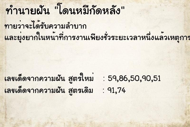 ทำนายฝันโดนหมีกัดหลัง ทำนายฝันทำนายฝันโดนหมีกัดหลัง