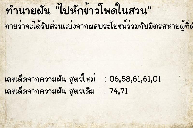 ทำนายฝันทำนายฝันไปหักข้าวโพดในสวน
