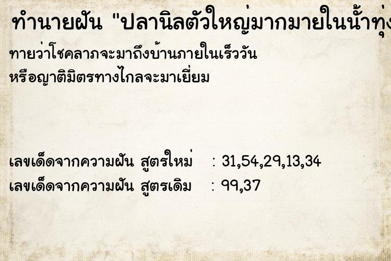 ทำนายฝันทำนายฝันปลานิลตัวใหญ่มากมายในนั้าทุ่งนา