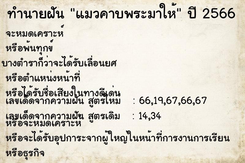 ทำนายฝันทำนายฝันแมวคาบพระมาให้