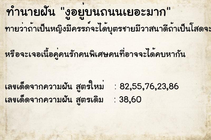 ทำนายฝันทำนายฝันงูอยู่บนถนนเยอะมาก
