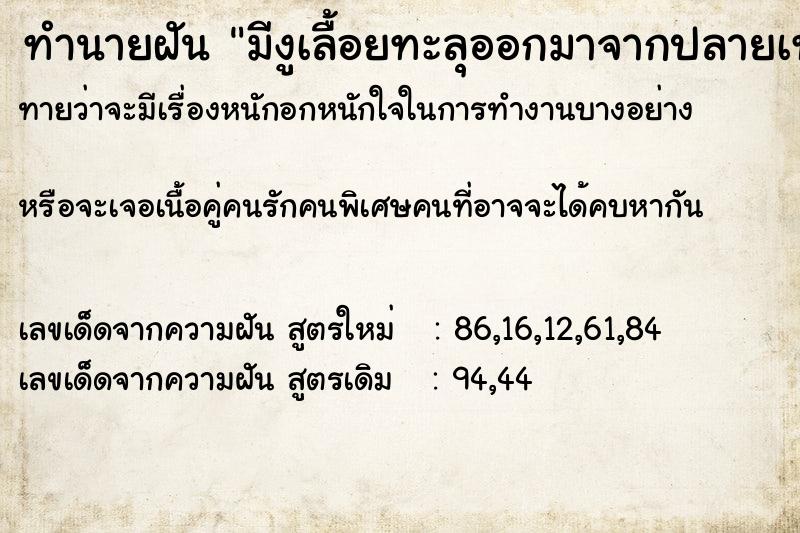 ทำนายฝันทำนายฝันมีงูเลื้อยทะลุออกมาจากปลายเท้า