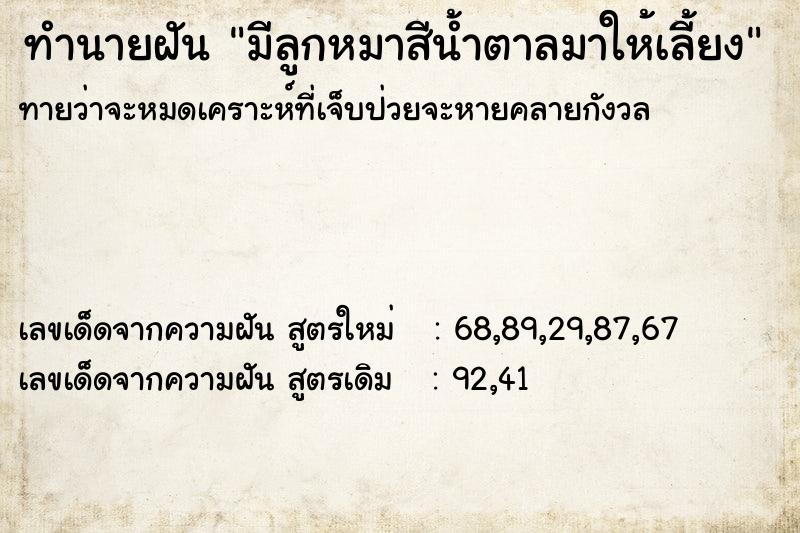 ทำนายฝันทำนายฝันมีลูกหมาสีน้ำตาลมาให้เลี้ยง