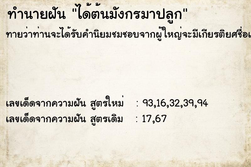 ทำนายฝันได้ต้นมังกรมาปลูก ทำนายฝันทำนายฝันได้ต้นมังกรมาปลูก