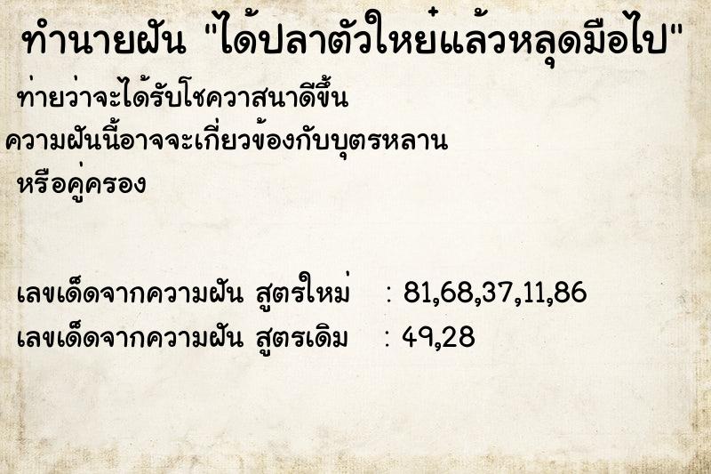 ทำนายฝันได้ปลาตัวใหย๋แล้วหลุดมือไป ทำนายฝันทำนายฝันได้ปลาตัวใหย๋แล้วหลุดมือไป