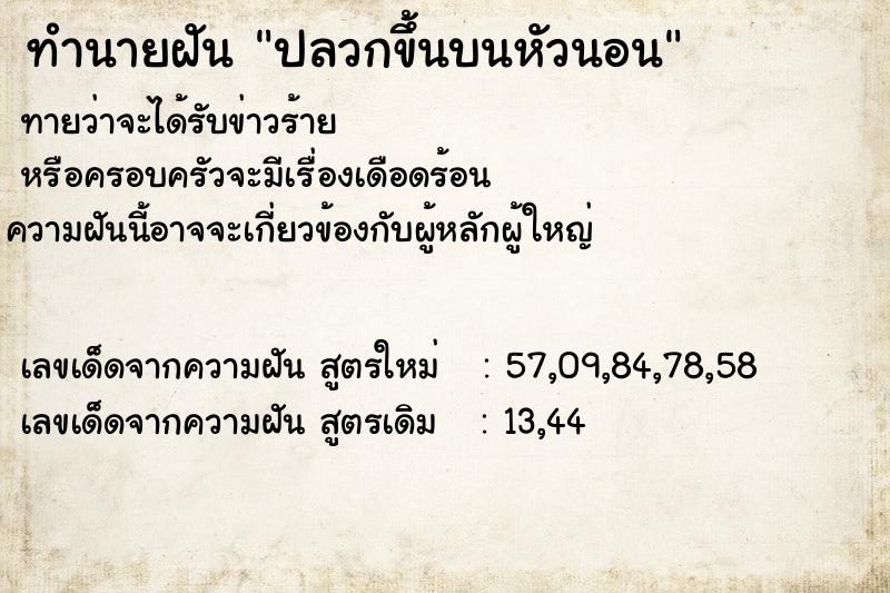 ทำนายฝันปลวกขึ้นบนหัวนอน ทำนายฝันทำนายฝันปลวกขึ้นบนหัวนอน