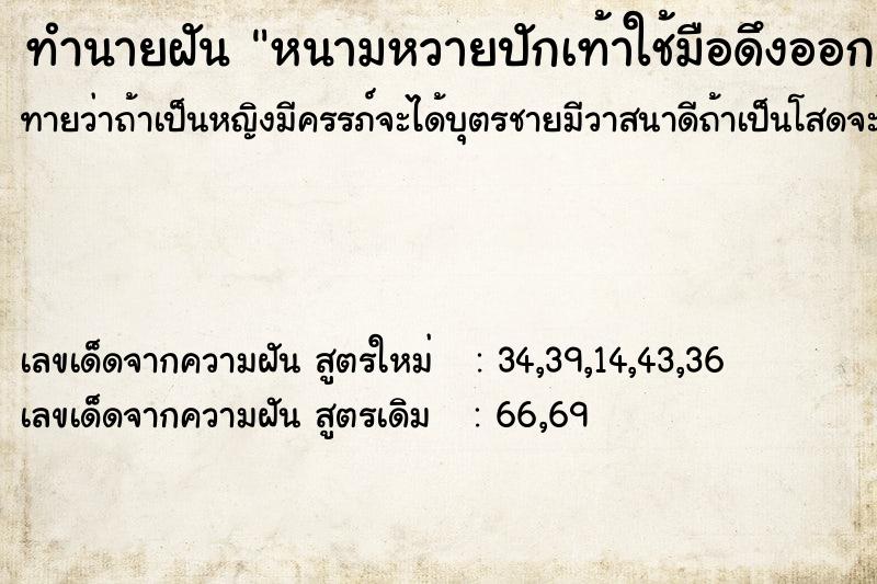 ทำนายฝันหนามหวายปักเท้าใช้มือดึงออก ทำนายฝันทำนายฝันหนามหวายปักเท้าใช้มือดึงออก