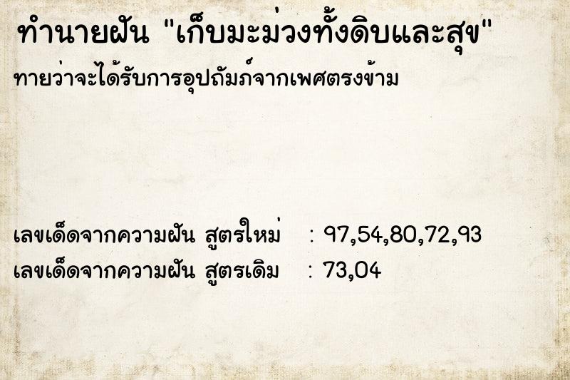 ทำนายฝันเก็บมะม่วงทั้งดิบและสุข ทำนายฝันทำนายฝันเก็บมะม่วงทั้งดิบและสุข