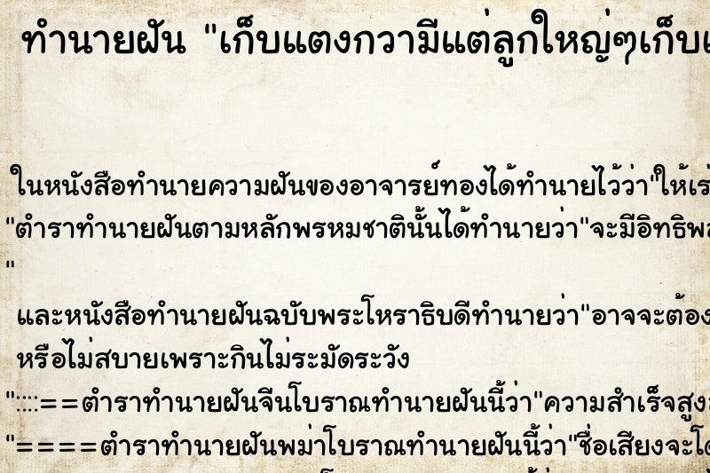ทำนายฝัน เก็บแตงกวามีแต่ลูกใหญ่ๆเก็บเต็มเลย ทำนายฝัน เก็บแตงกวามีแต่ลูกใหญ่ๆเก็บเต็มเลย