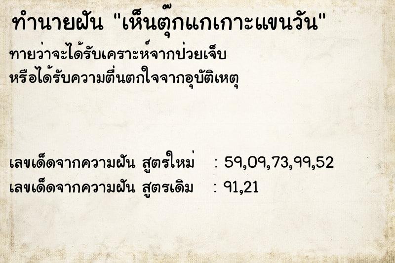 ทำนายฝันทำนายฝันเห็นตุ๊กแกเกาะแขนวัน
