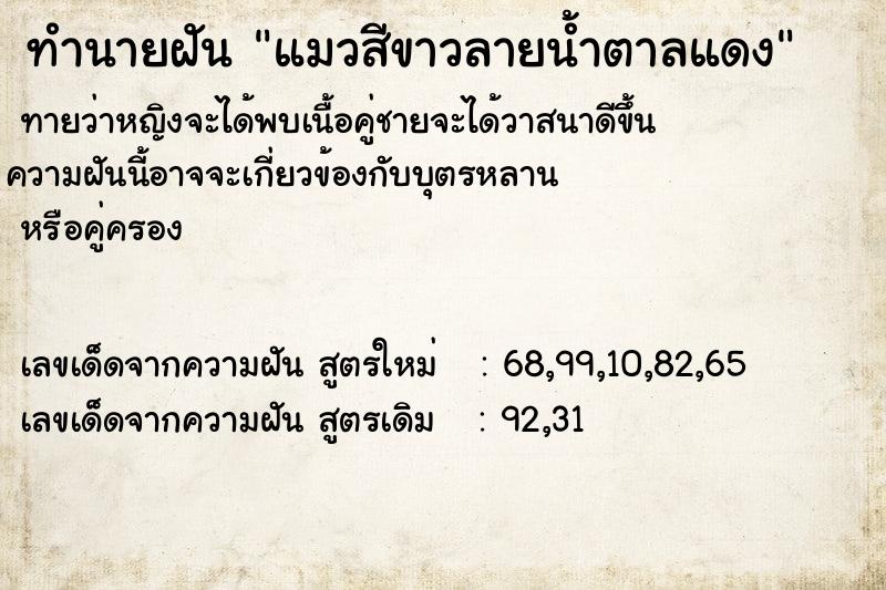 ทำนายฝันแมวสีขาวลายน้ำตาลแดง ทำนายฝันทำนายฝันแมวสีขาวลายน้ำตาลแดง