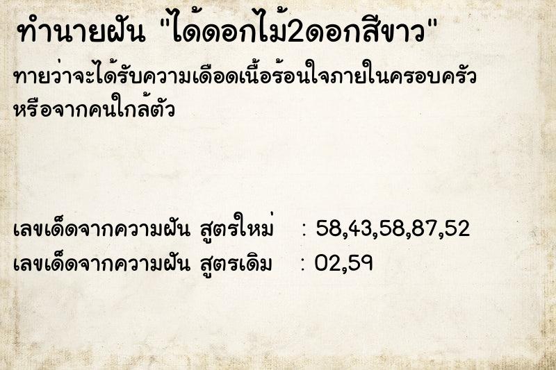 ทำนายฝันทำนายฝันได้ดอกไม้2ดอกสีขาว
