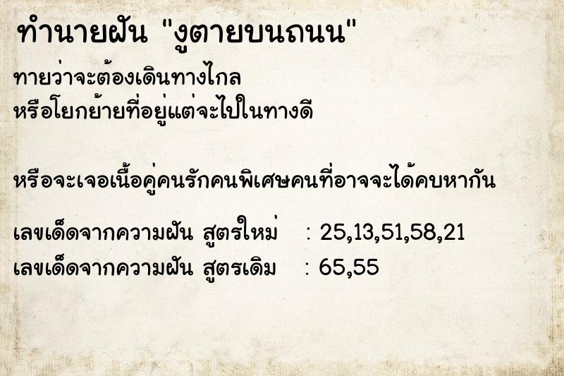 ทำนายฝันงูตายบนถนน ทำนายฝันทำนายฝันงูตายบนถนน