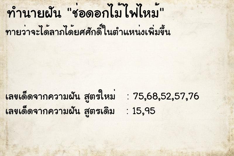 ทำนายฝันช่อดอกไม้ไฟไหม้ ทำนายฝันทำนายฝันช่อดอกไม้ไฟไหม้