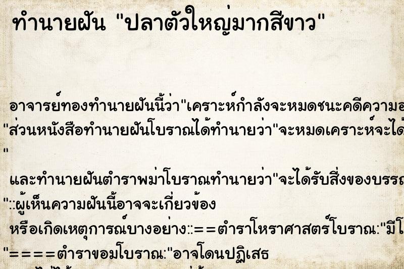 ทำนายฝัน ปลาตัวใหญ่มากสีขาว ตำราโบราณ แม่นที่สุดในโลก