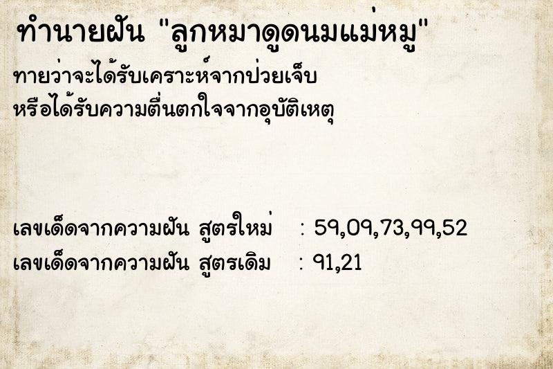 ทำนายฝันทำนายฝันลูกหมาดูดนมแม่หมู
