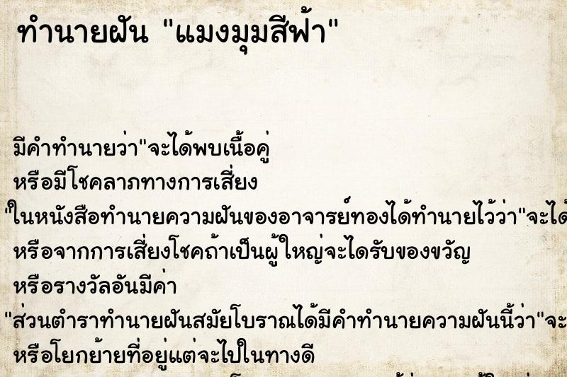 ทำนายฝัน แมงมุมสีฟ้า ทำนายฝัน แมงมุมสีฟ้า