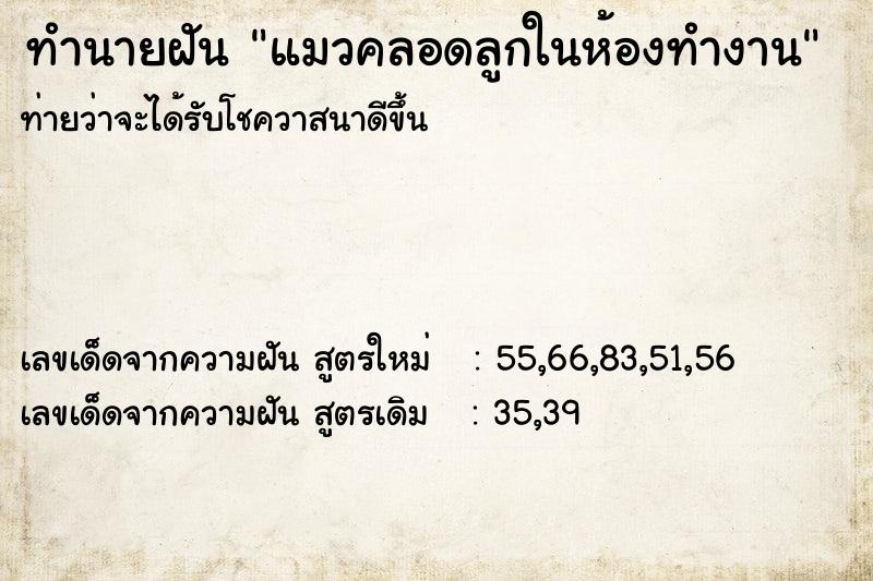 ทำนายฝันแมวคลอดลูกในห้องทำงาน ทำนายฝันทำนายฝันแมวคลอดลูกในห้องทำงาน