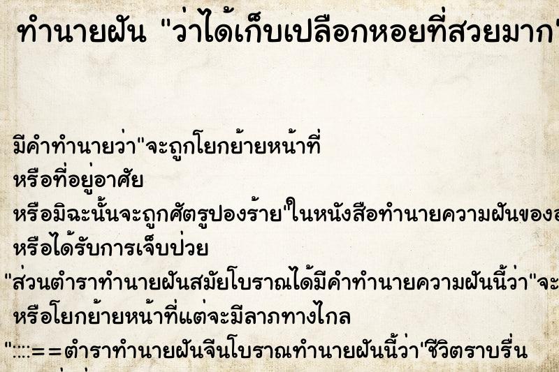 ทำนายฝัน ว่าได้เก็บเปลือกหอยที่สวยมาก ทำนายฝัน ว่าได้เก็บเปลือกหอยที่สวยมาก