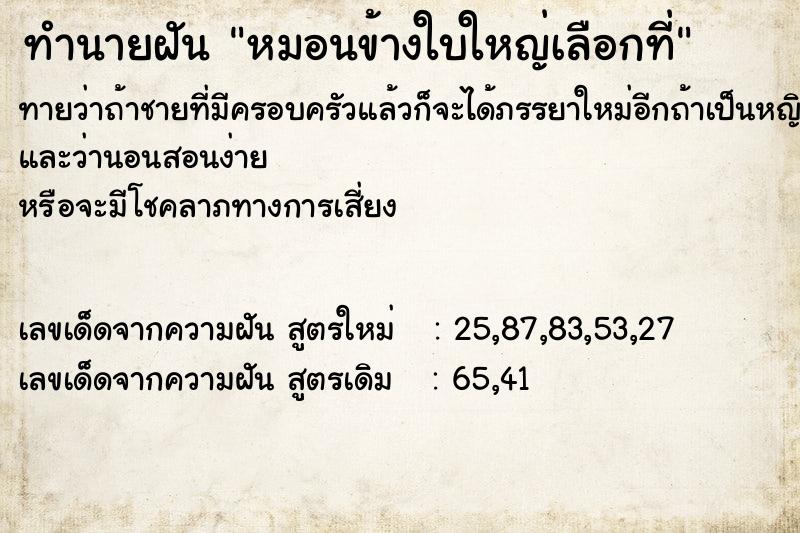 ทำนายฝัน หมอนข้างใบใหญ่เลือกที่ ทำนายฝัน หมอนข้างใบใหญ่เลือกที่