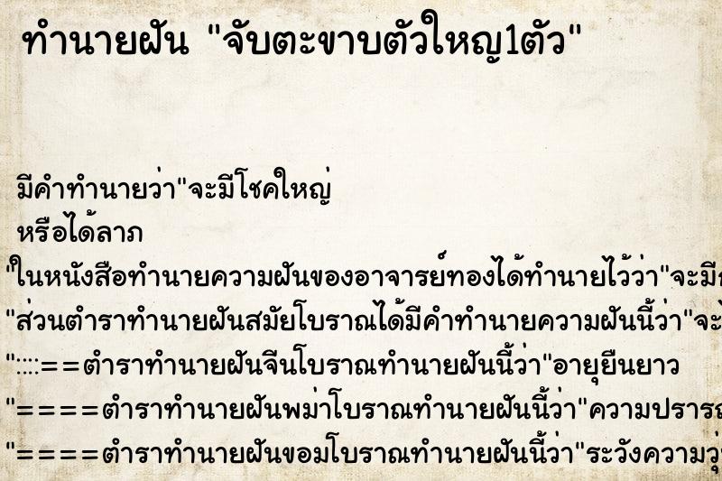 ทำนายฝัน จับตะขาบตัวใหญ1ตัว ทำนายฝัน จับตะขาบตัวใหญ1ตัว