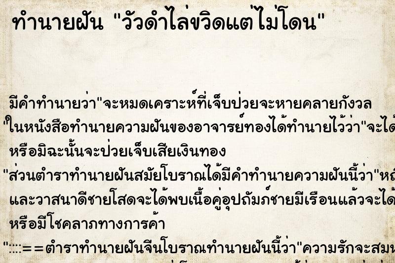 ทำนายฝันวัวดำไล่ขวิดแต่ไม่โดน ทำนายฝันทำนายฝันวัวดำไล่ขวิดแต่ไม่โดน
