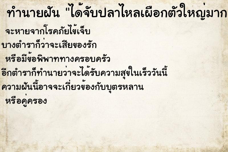 ทำนายฝัน ได้จับปลาไหลเผือกตัวใหญ่มาก ตำราโบราณ แม่นที่สุดในโลก