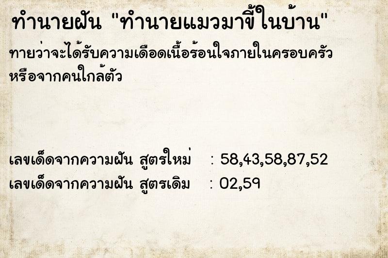ทำนายฝันทำนายฝันทำนายแมวมาขี้ในบ้าน