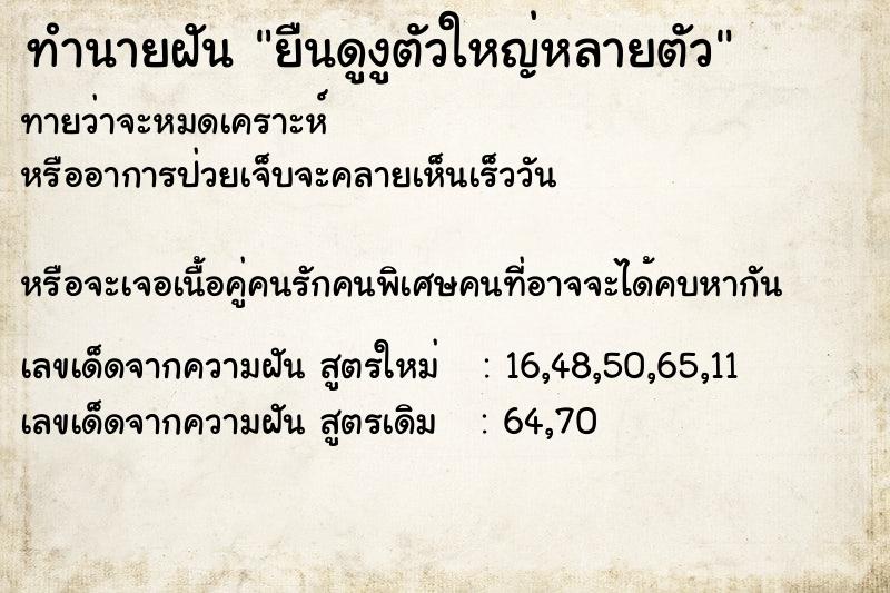 ทำนายฝันยืนดูงูตัวใหญ่หลายตัว ทำนายฝันทำนายฝันยืนดูงูตัวใหญ่หลายตัว