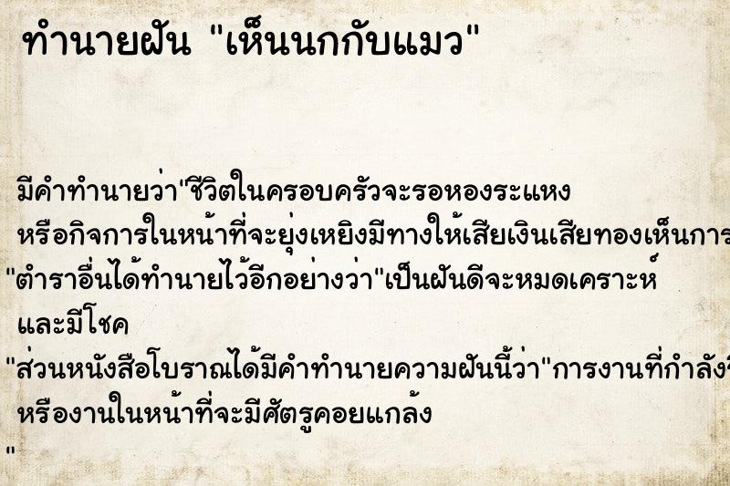 ทำนายฝัน เห็นนกกับแมว ทำนายฝัน เห็นนกกับแมว