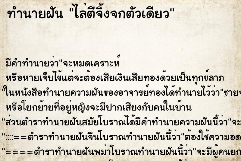ทำนายฝัน ไล่ตีจิ้งจกตัวเดียว ทำนายฝัน ไล่ตีจิ้งจกตัวเดียว