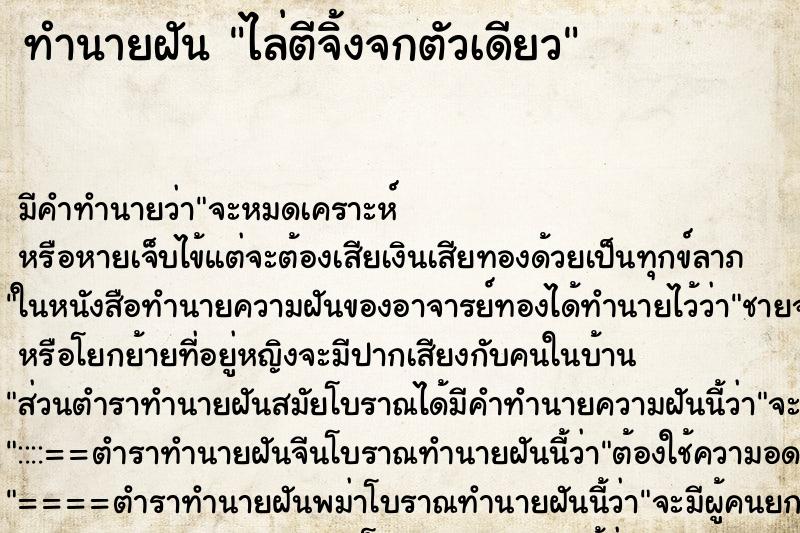 ทำนายฝัน ไล่ตีจิ้งจกตัวเดียว ตำราโบราณ แม่นที่สุดในโลก