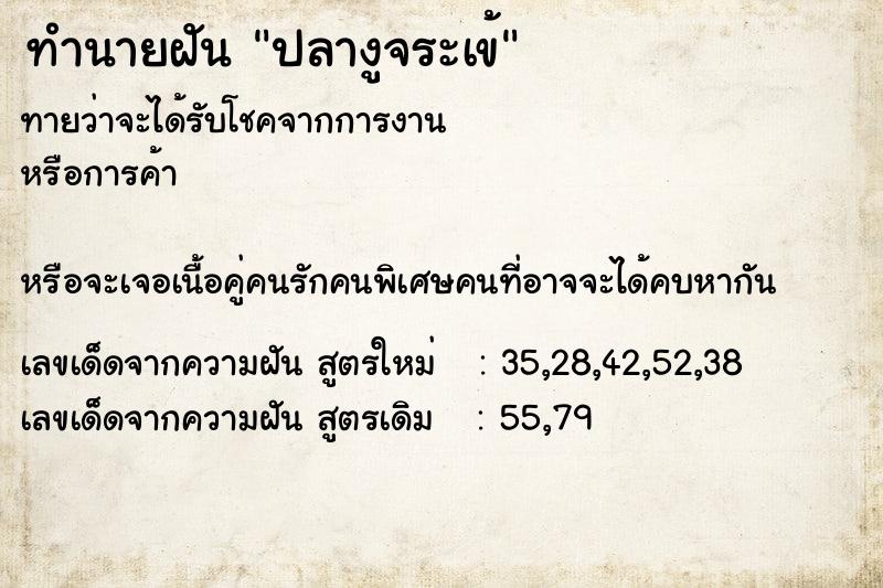 ทำนายฝันปลางูจระเข้ ทำนายฝันทำนายฝันปลางูจระเข้
