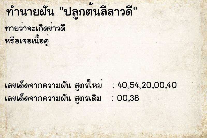 ทำนายฝัน ปลูกต้นลีลาวดี ทำนายฝัน ปลูกต้นลีลาวดี