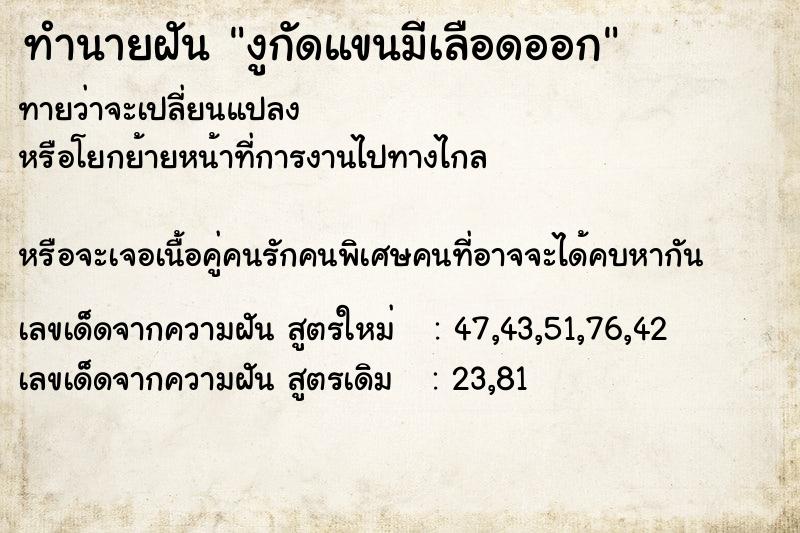 ทำนายฝันงูกัดแขนมีเลือดออก ทำนายฝันทำนายฝันงูกัดแขนมีเลือดออก