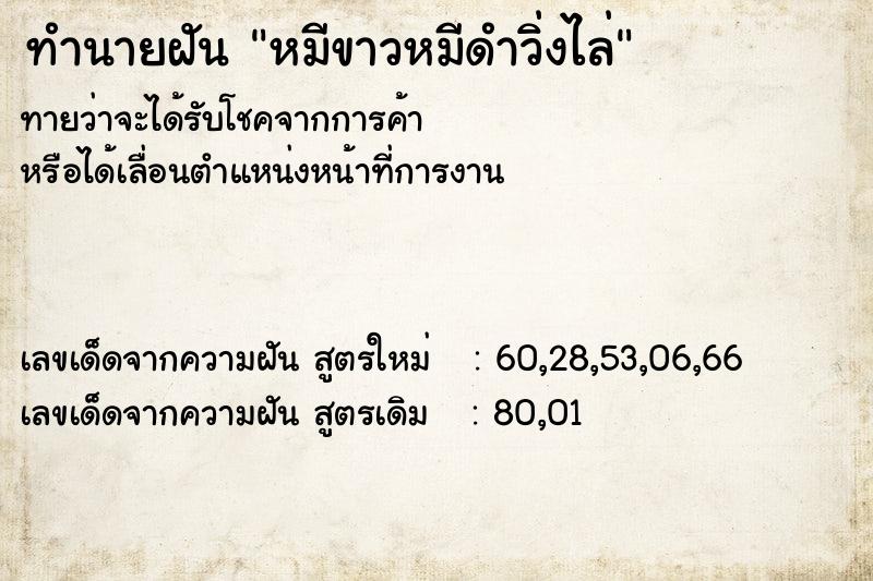 ทำนายฝัน หมีขาวหมีดำวิ่งไล่ ทำนายฝัน หมีขาวหมีดำวิ่งไล่