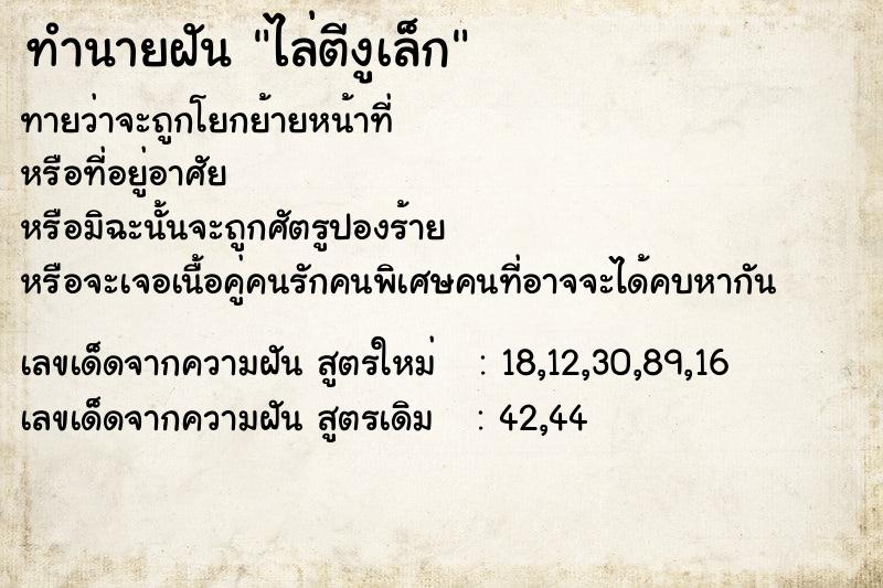 ทำนายฝันไล่ตีงูเล็ก ทำนายฝันทำนายฝันไล่ตีงูเล็ก