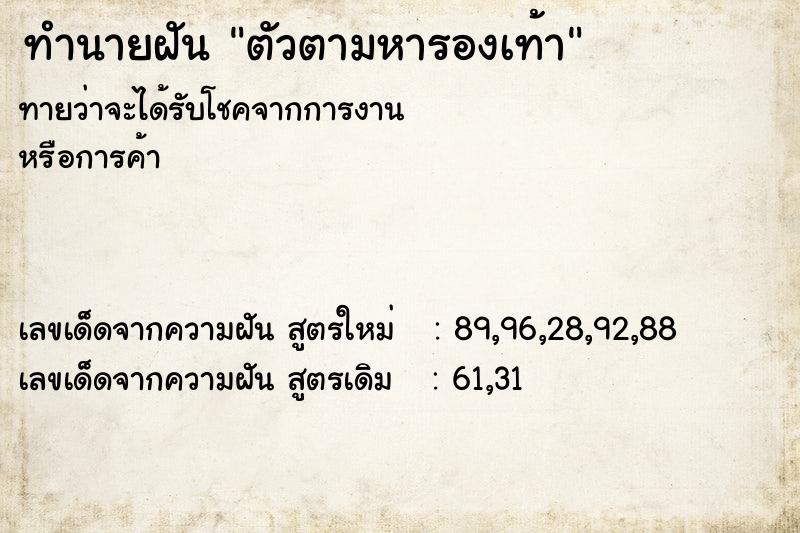 ทำนายฝัน ตัวตามหารองเท้า ทำนายฝัน ตัวตามหารองเท้า