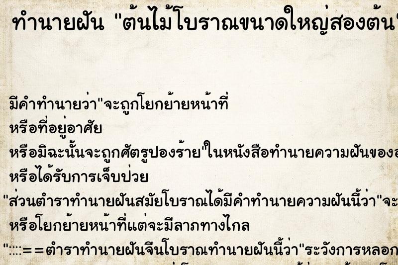 ทำนายฝันต้นไม้โบราณขนาดใหญ่สองต้น ทำนายฝันทำนายฝันต้นไม้โบราณขนาดใหญ่สองต้น