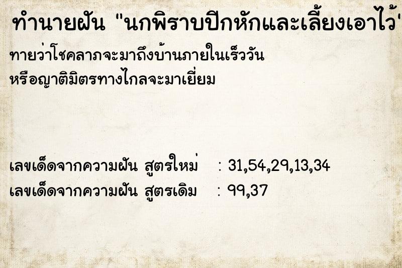 ทำนายฝัน นกพิราบปีกหักและเลี้ยงเอาไว้ ทำนายฝัน นกพิราบปีกหักและเลี้ยงเอาไว้