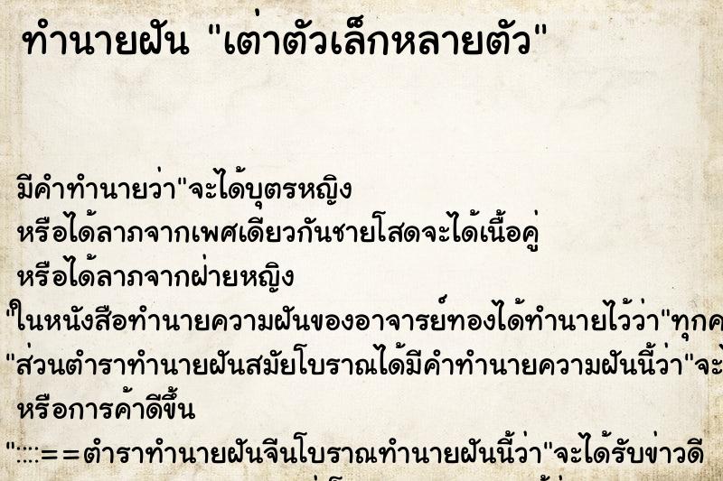 ทำนายฝัน เต่าตัวเล็กหลายตัว ทำนายฝัน เต่าตัวเล็กหลายตัว