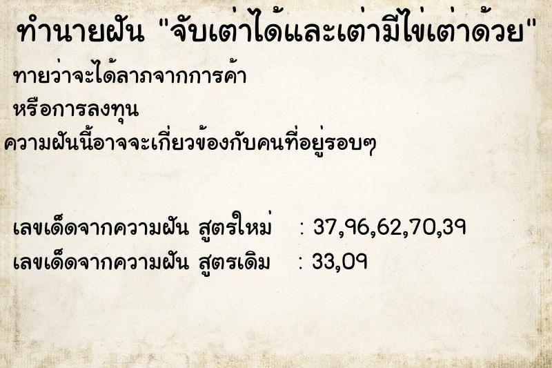 ทำนายฝัน จับเต่าได้และเต่ามีไข่เต่าด้วย ทำนายฝัน จับเต่าได้และเต่ามีไข่เต่าด้วย