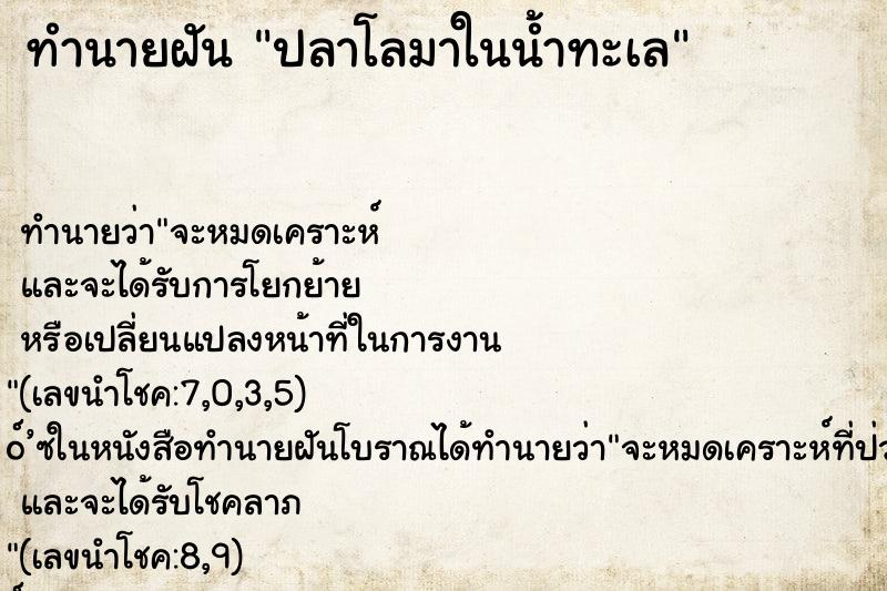 ทำนายฝัน ปลาโลมาในน้ำทะเล ทำนายฝัน ปลาโลมาในน้ำทะเล
