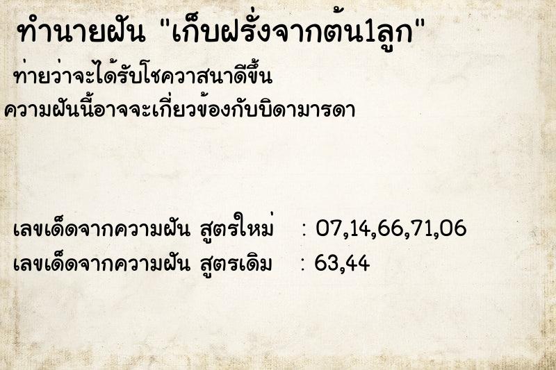 ทำนายฝันทำนายฝันเก็บฝรั่งจากต้น1ลูก