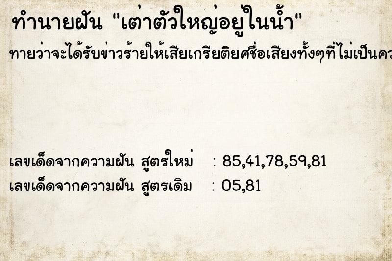 ทำนายฝันเต่าตัวใหญ่อยู่ในน้ำ ทำนายฝันทำนายฝันเต่าตัวใหญ่อยู่ในน้ำ