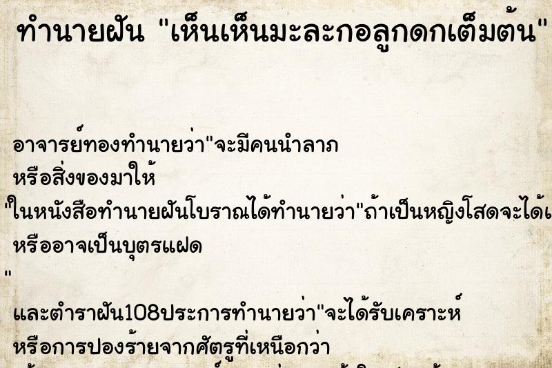 ทำนายฝันทำนายฝันเห็นเห็นมะละกอลูกดกเต็มต้น